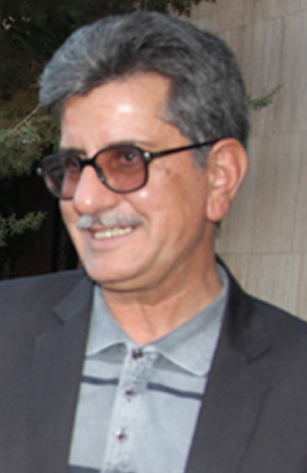 محمد شریفی‌نعمت‌آباد
